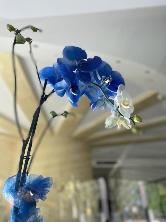 Oasi Park Hotel マスカリ エクステリア 写真